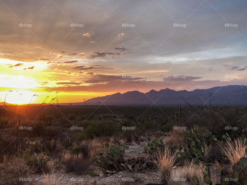 Desert Mountain Landscape - Sunset 