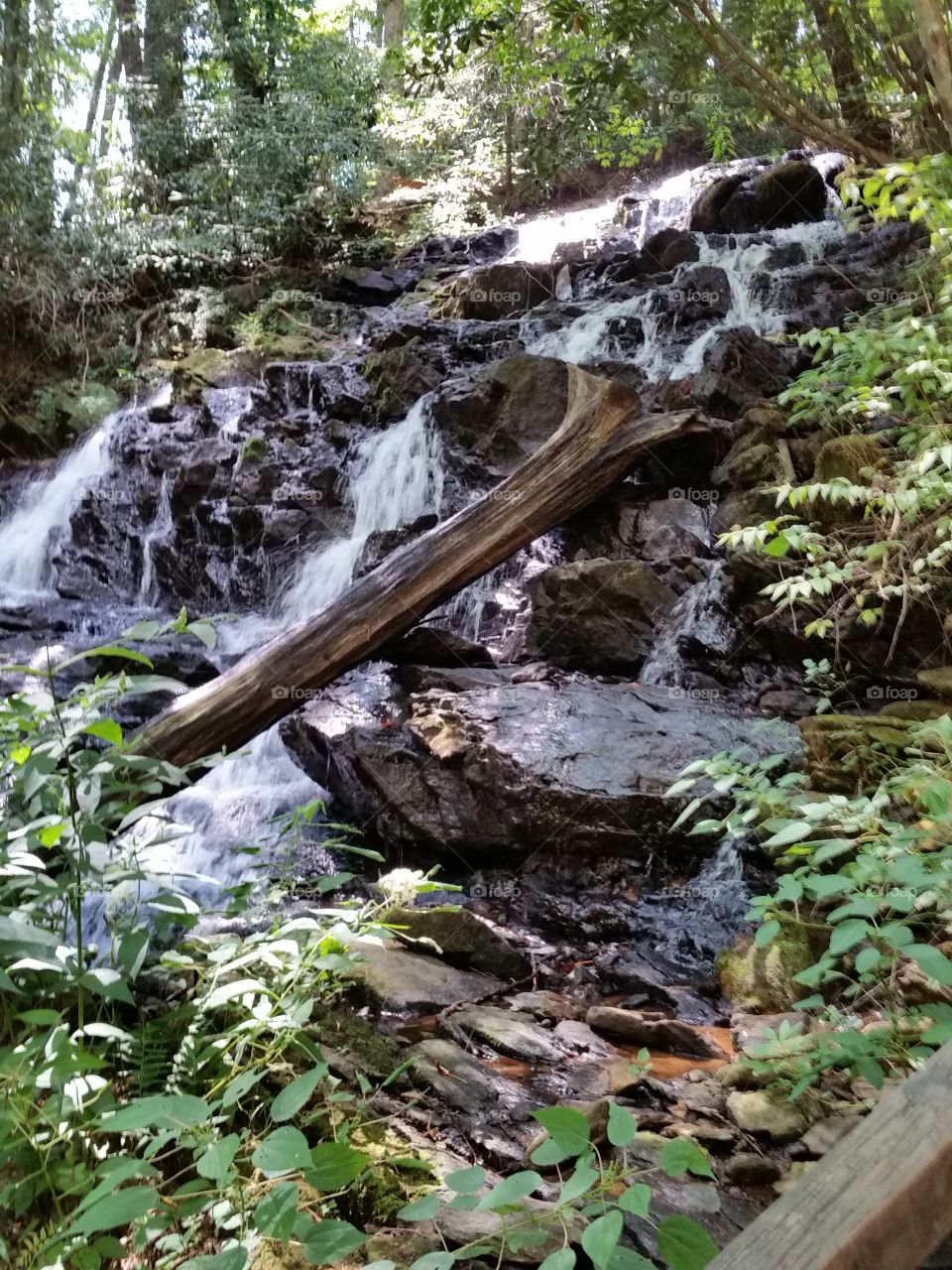 Waterfall @ Vogel State Park, GA