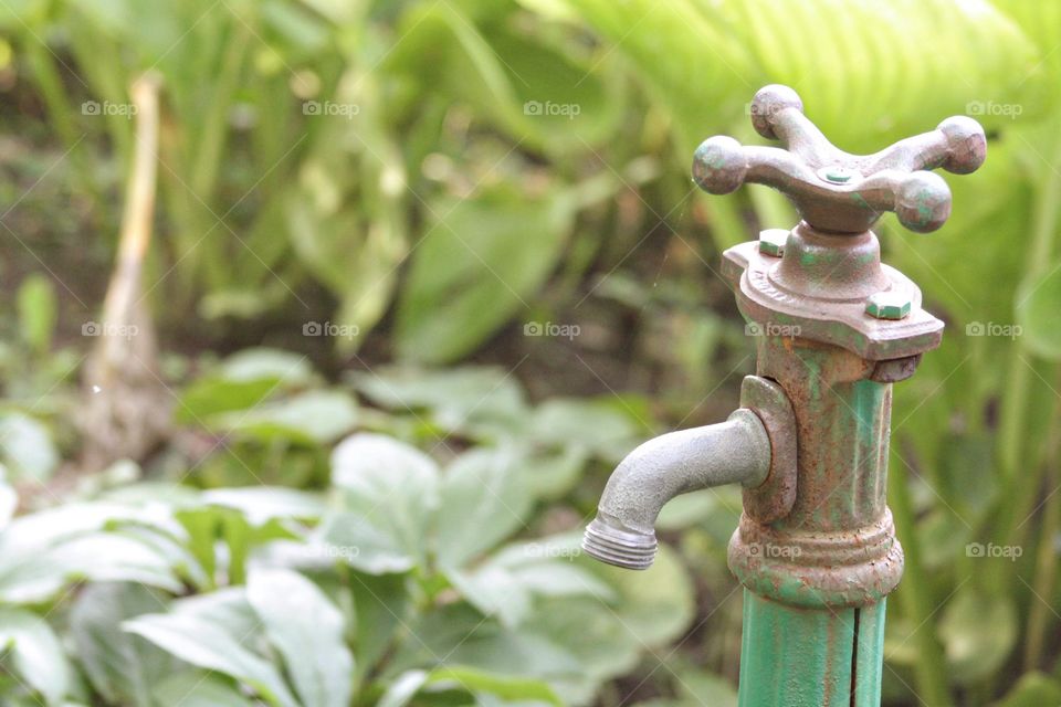 Rustic water spigot rusty green brown