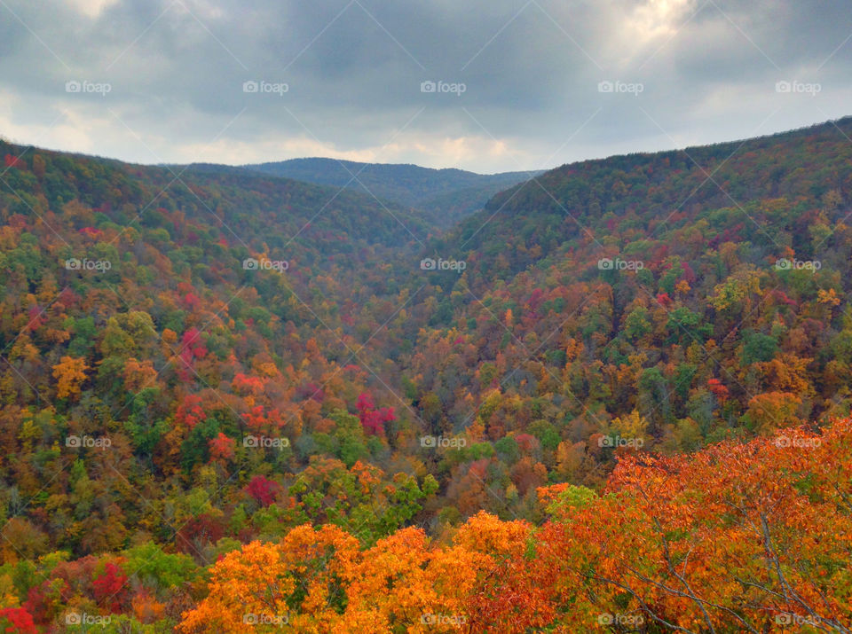 autumn valley foliage mission5 by johngeer