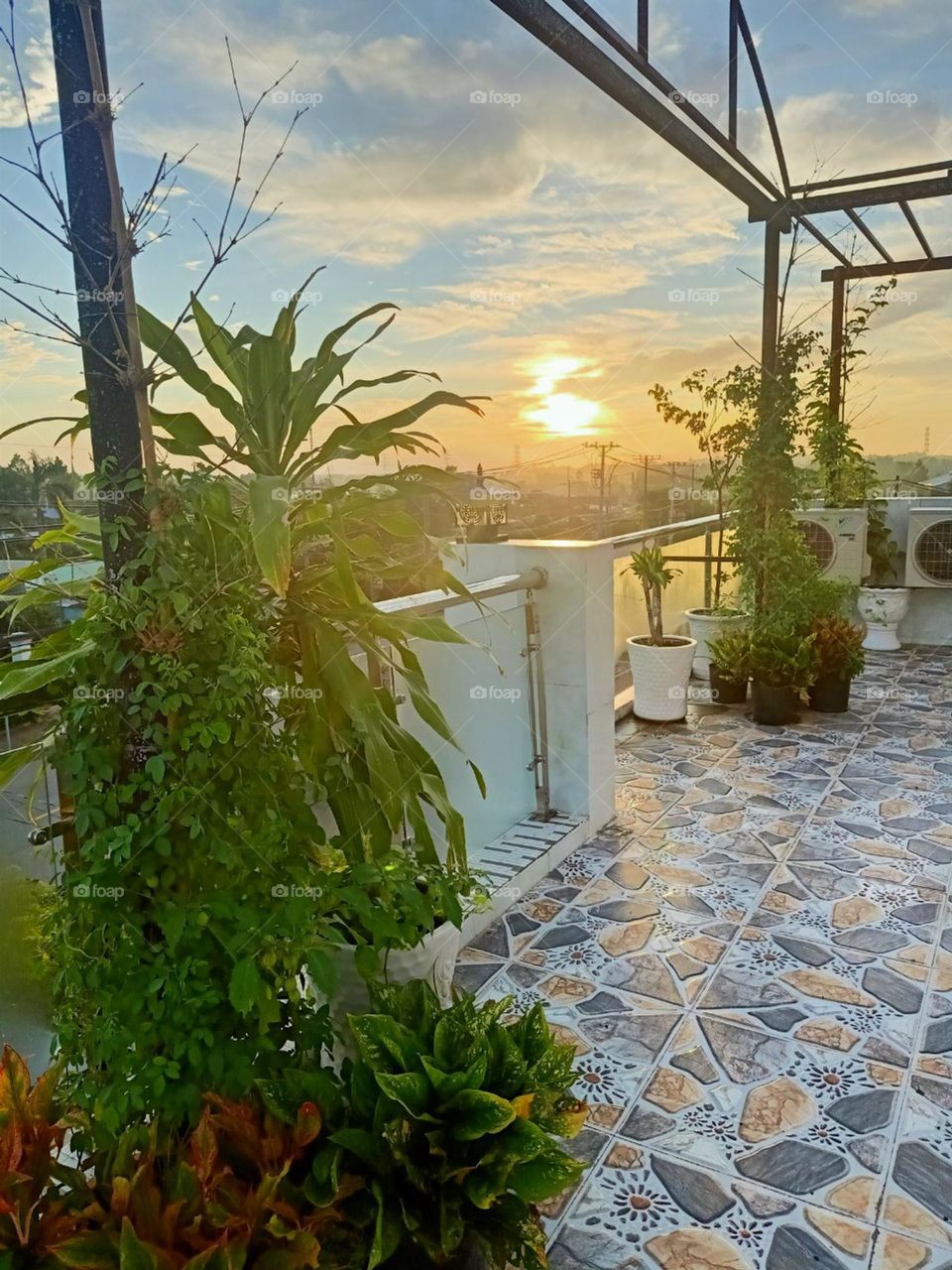 dưới ánh chiều tà.