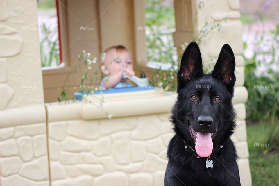 Our German Shepherd dog guarding his little brother who is playing in the Playhouse. 