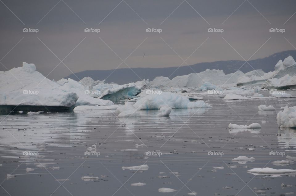 Midnight Sun Sailing Greenland