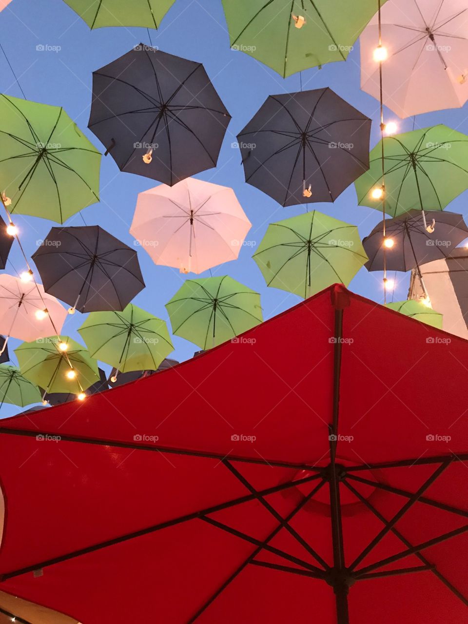 Umbrella Shade