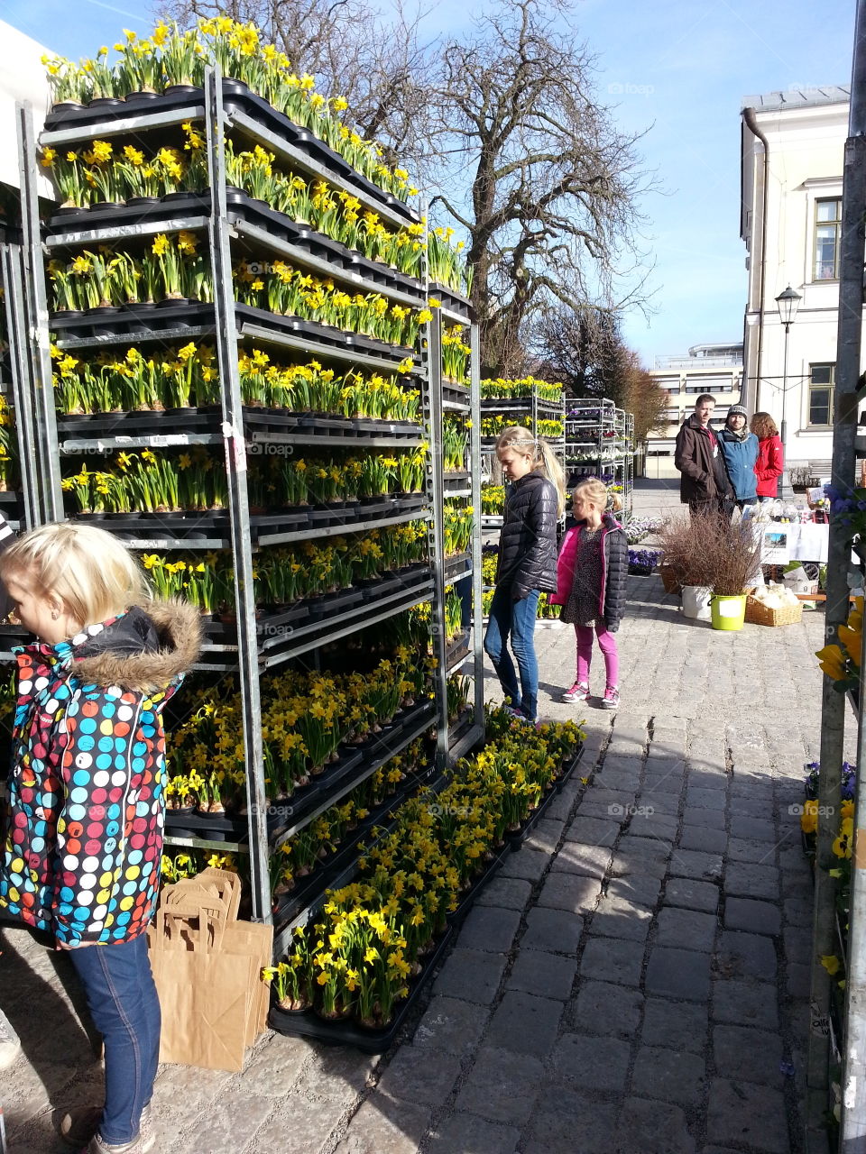 Market day
