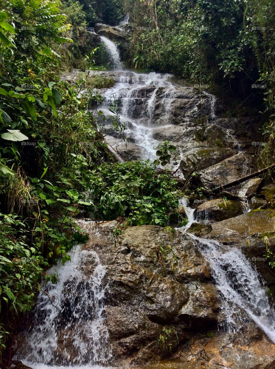 Cascada de agua 