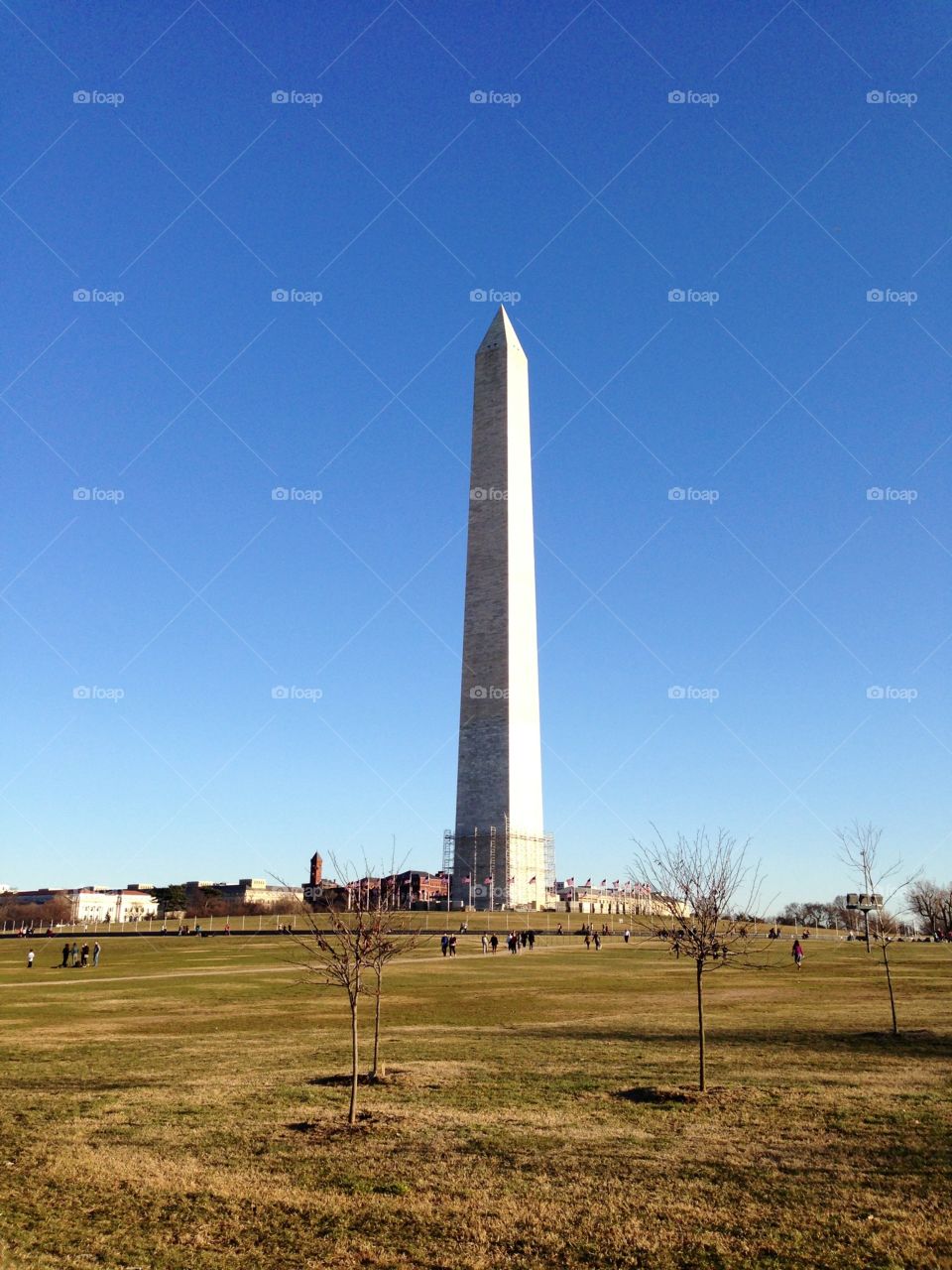 Washington Monument . Washington monument 