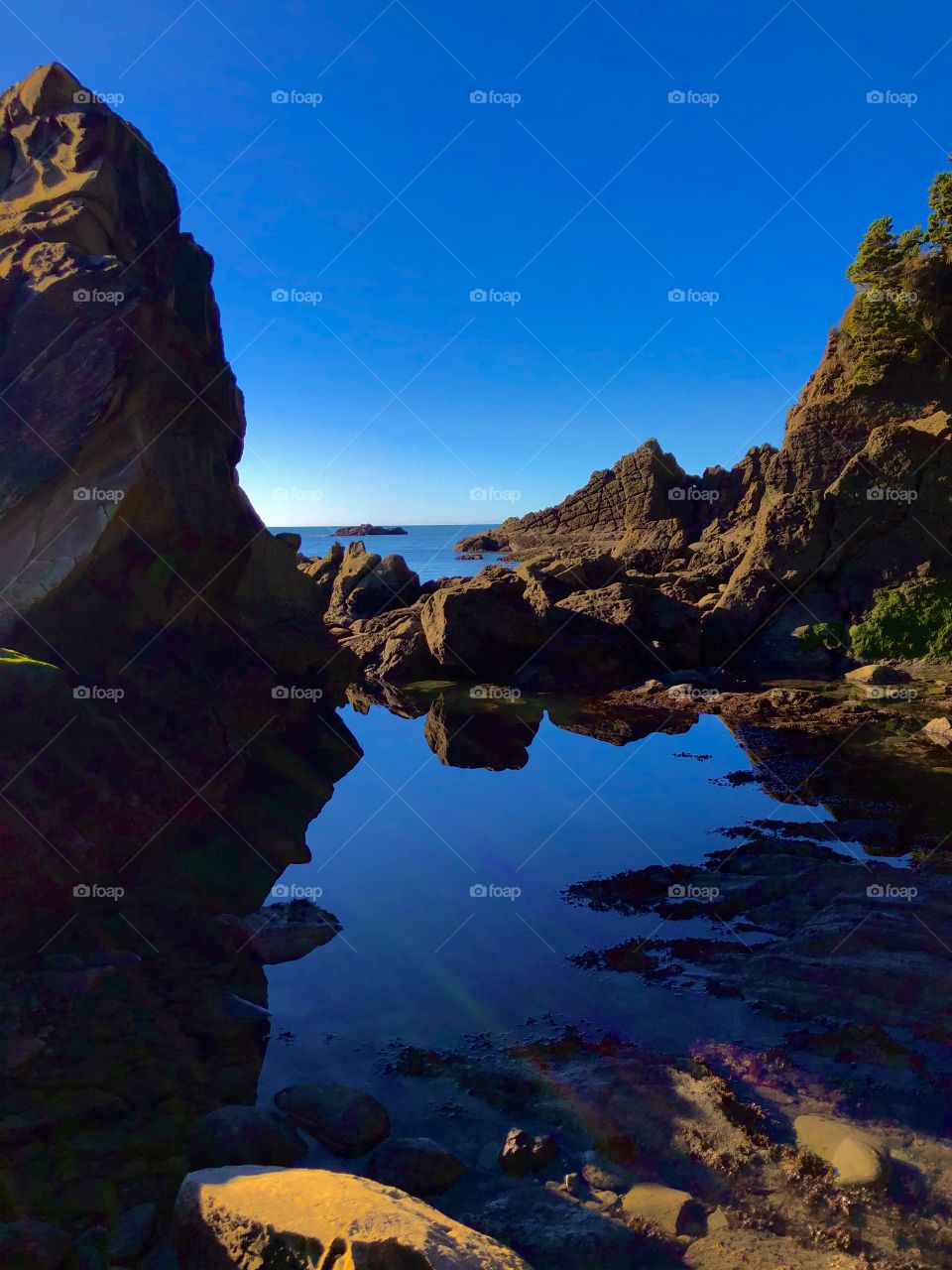 Pacific Ocean Coast Beach