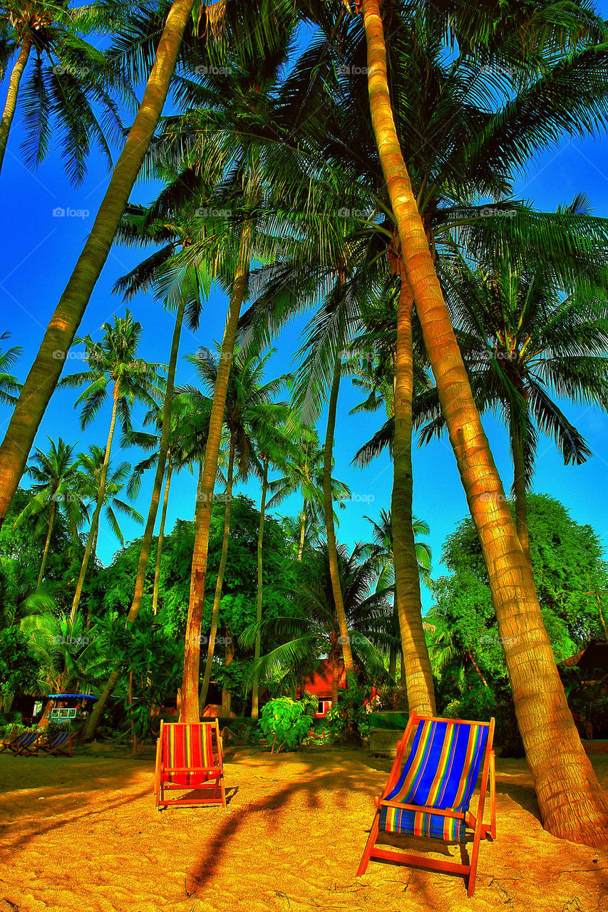 Ko tao beach