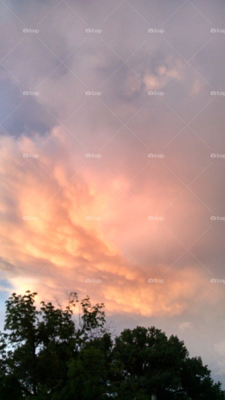 Cloud 39. The sky put on a spectacular show at sundown.