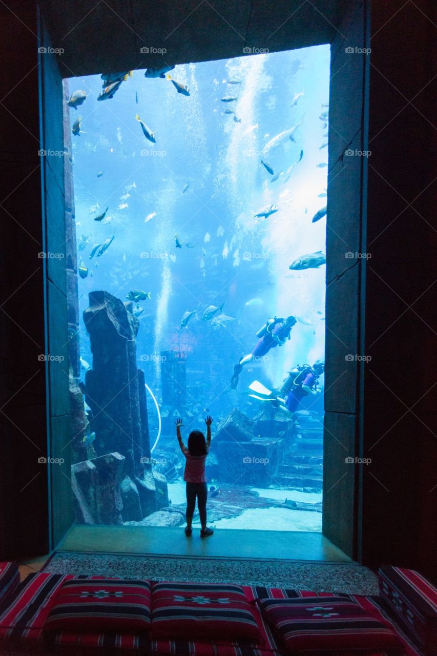 Blue background with huge aquarium and little girl 