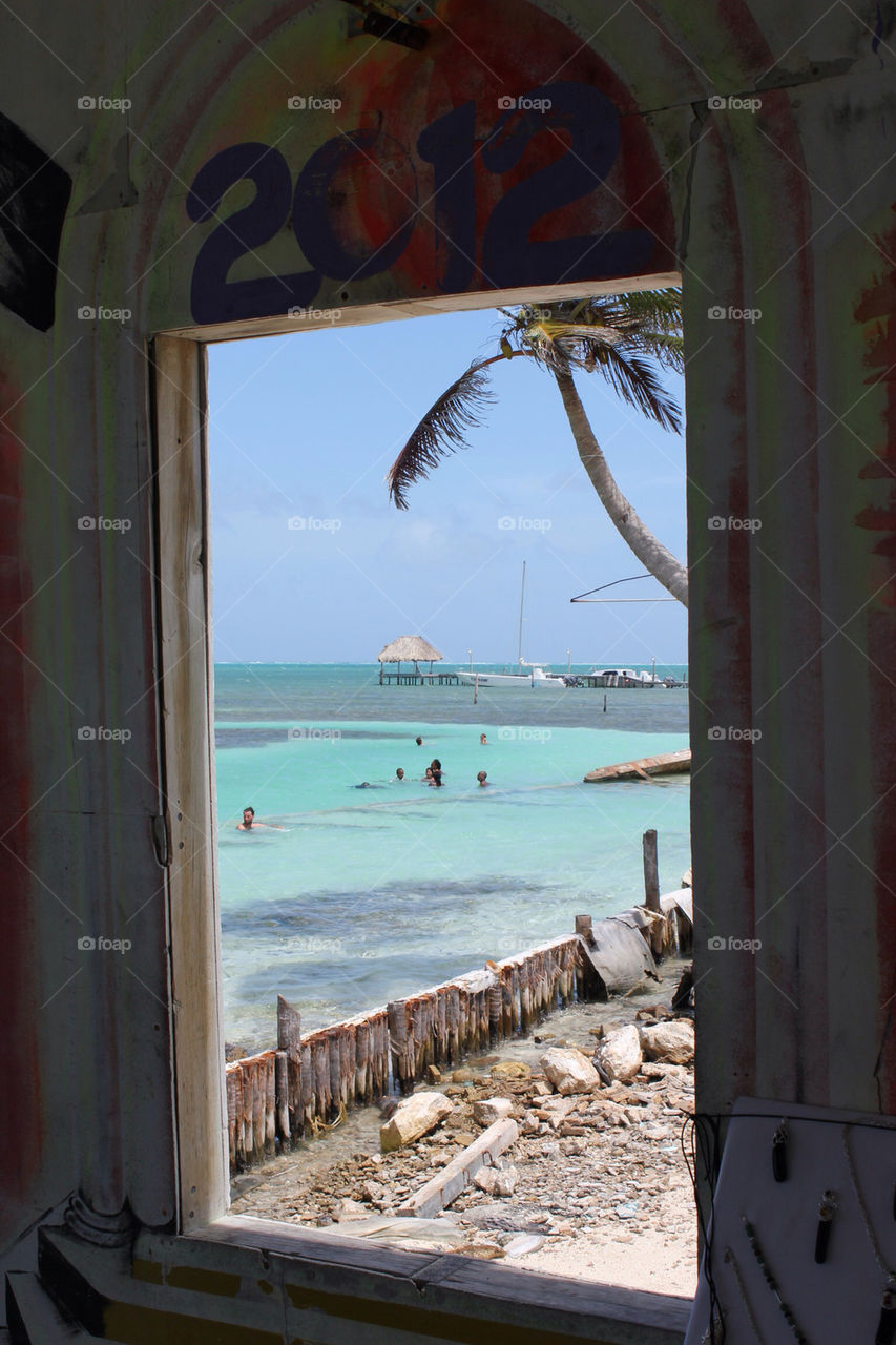 ocean palm window beliz by idanos