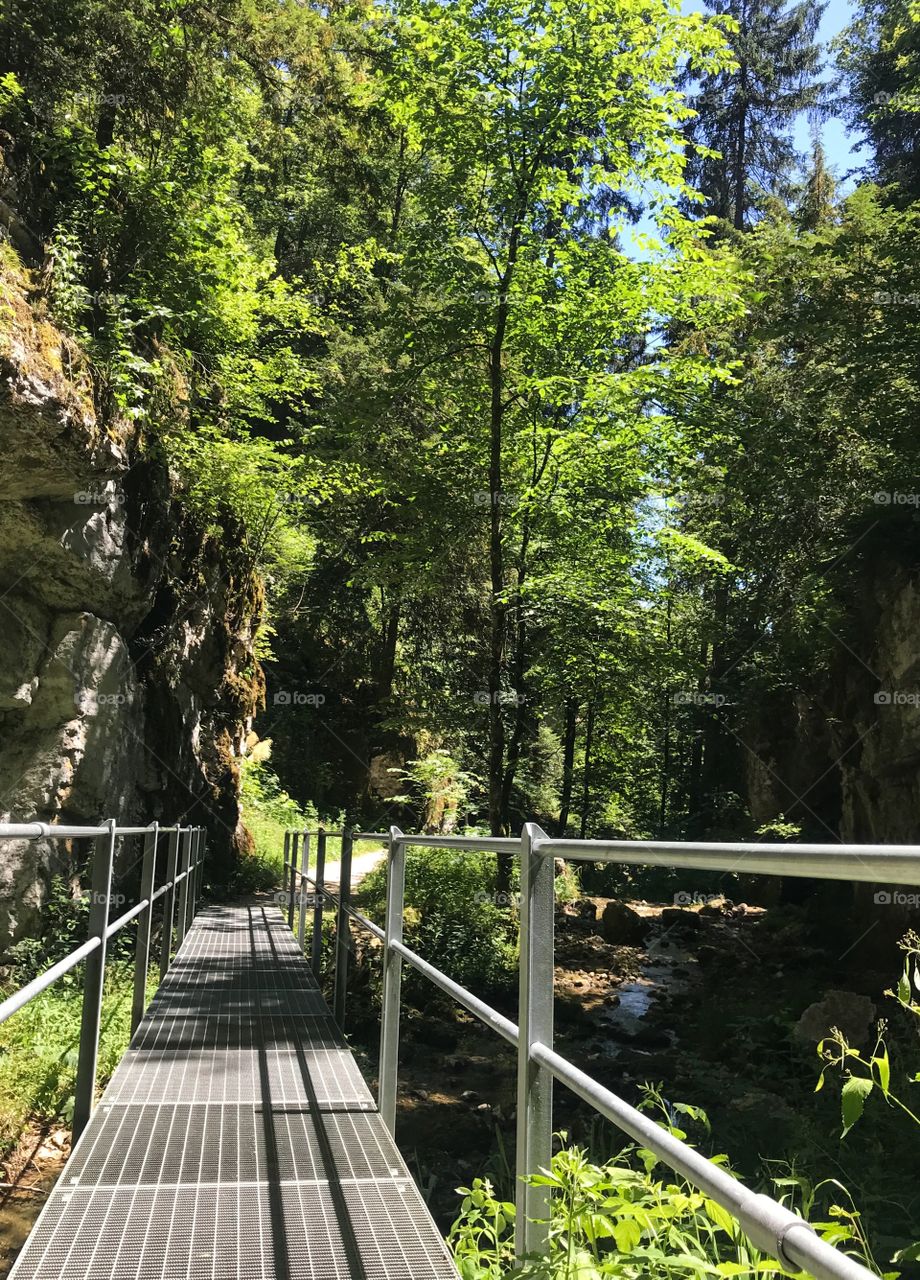 Teufelsschlucht 