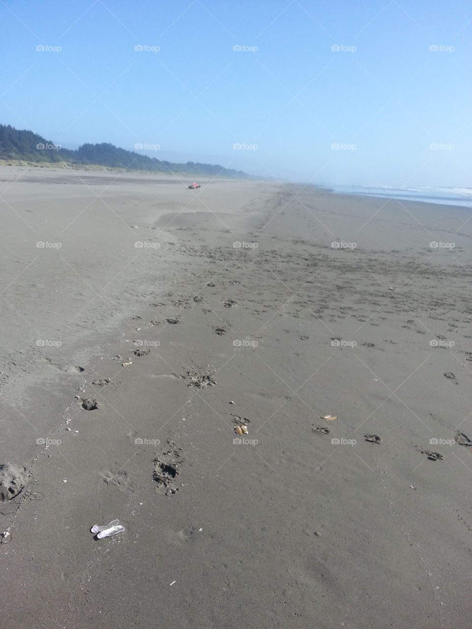 Beach, No Person, Sand, Water, Seashore
