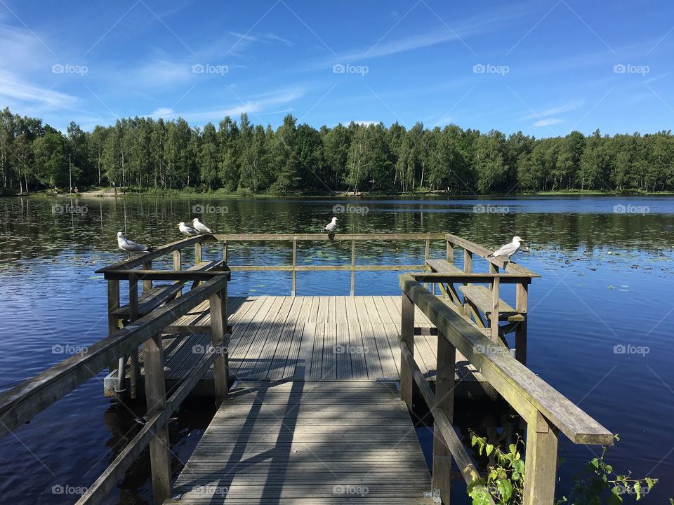 A small pond in Fontin, Kungälv, Sweden 