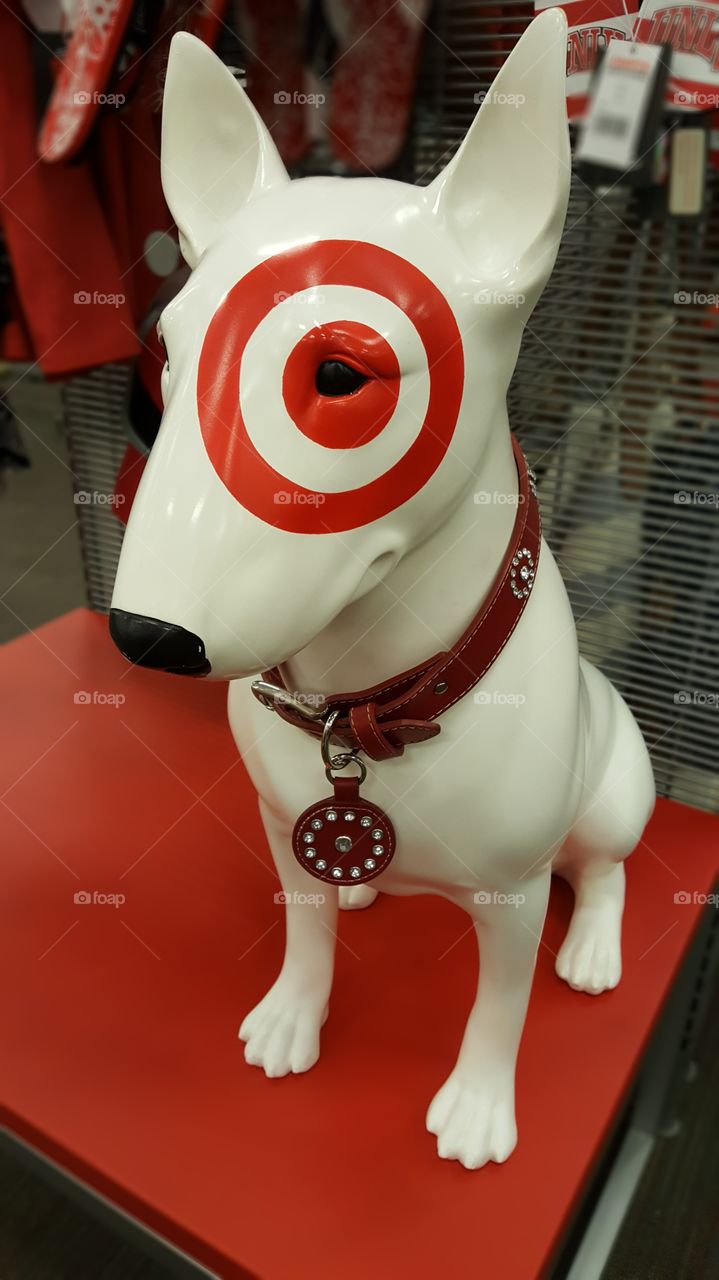 target dog