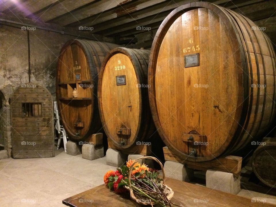 Cave avec gros fûts de vin
