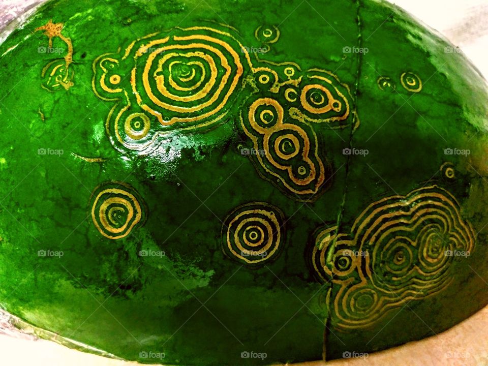 Bug circles on Watermelon!