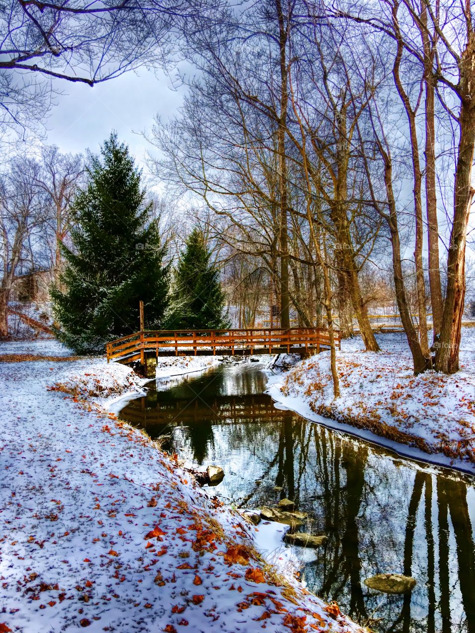 View of a wooden bridge during winter