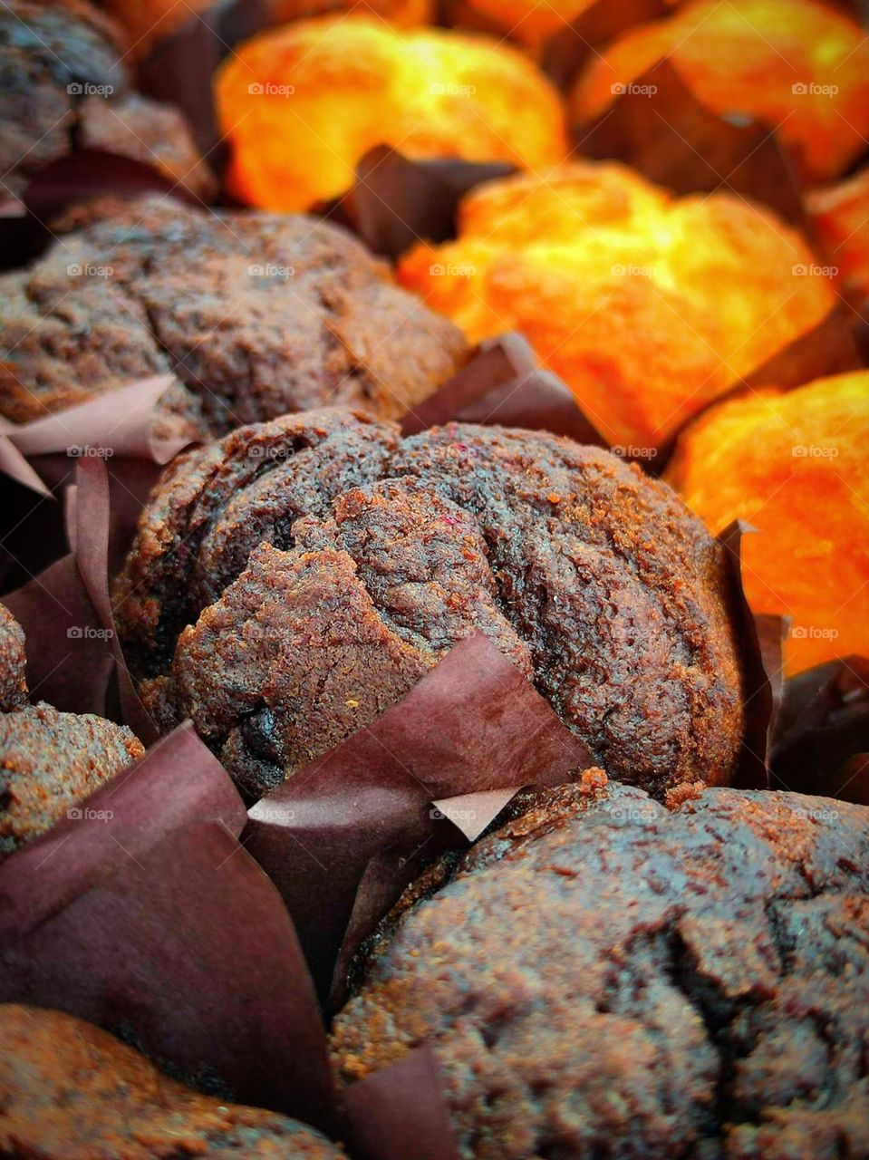 Food.  Dessert.  Chocolate muffins with chocolate chips and muffins with raisins.  Side view.