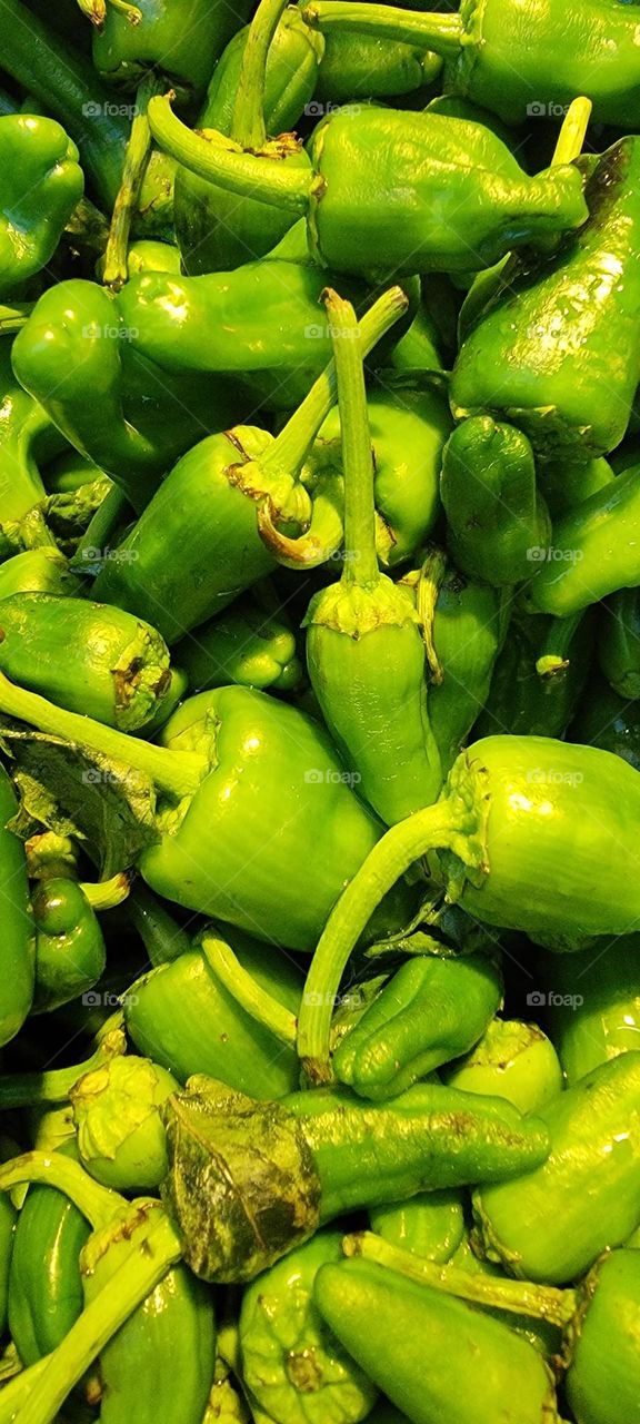 Green Pepper
