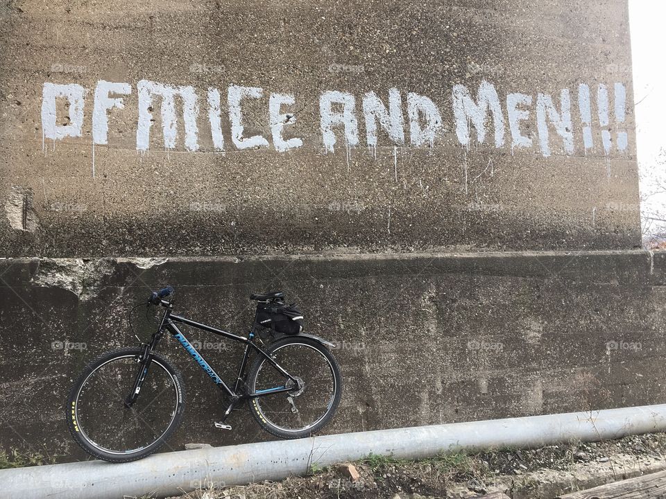 Reading while riding.