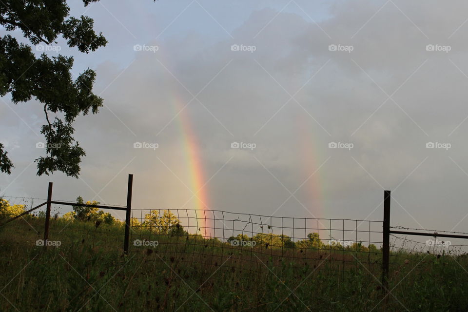 Double Rainbow