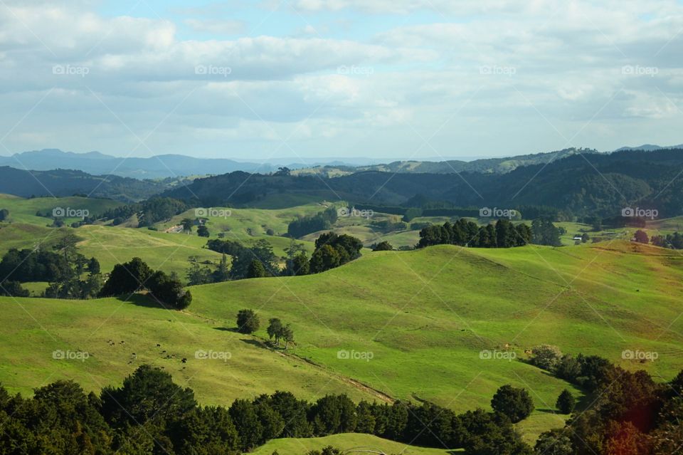 Grassy land against cloudy sky