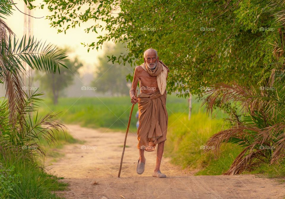 "Wisdom in Solitude: