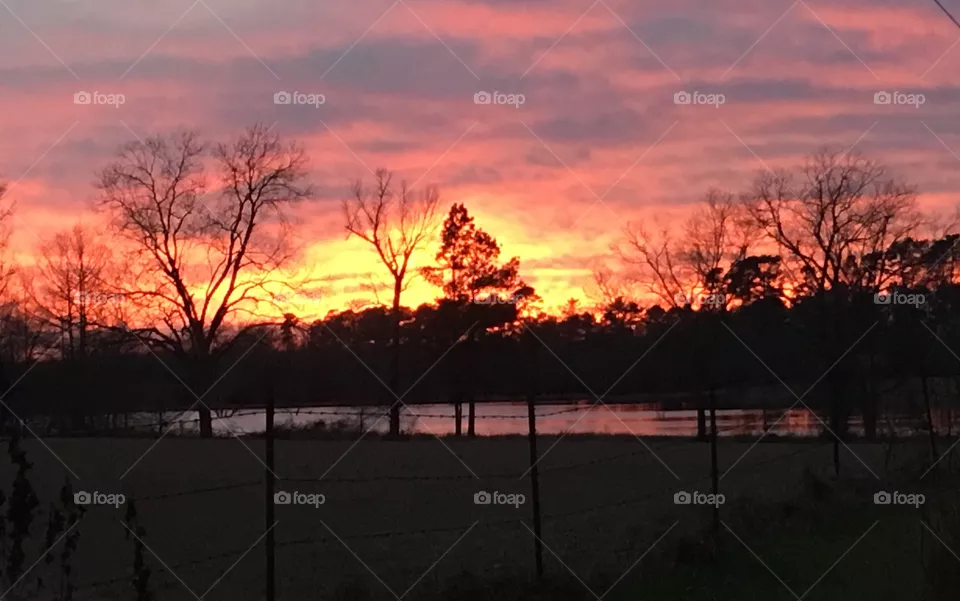 Louisiana Sunset 