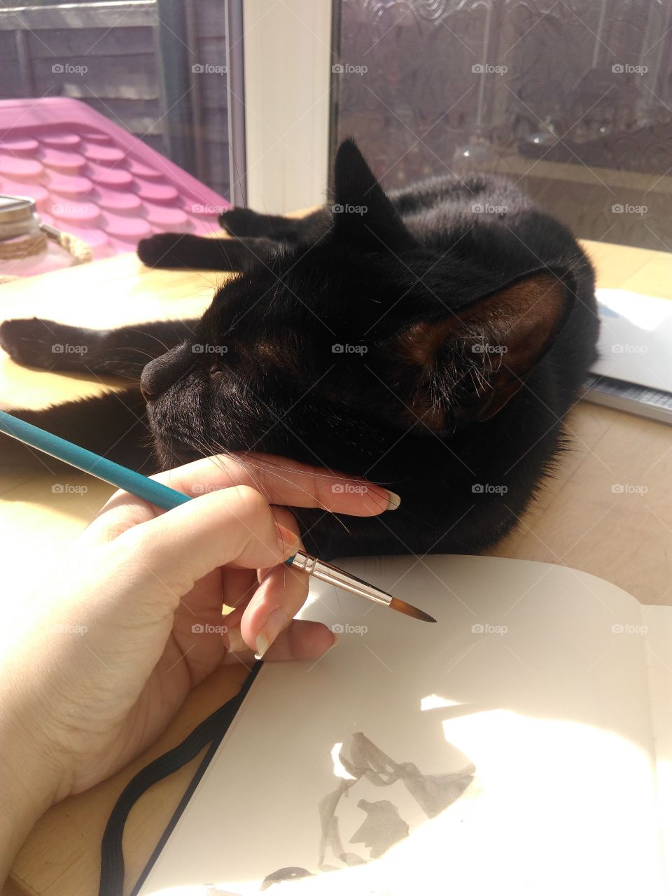 painting with cat