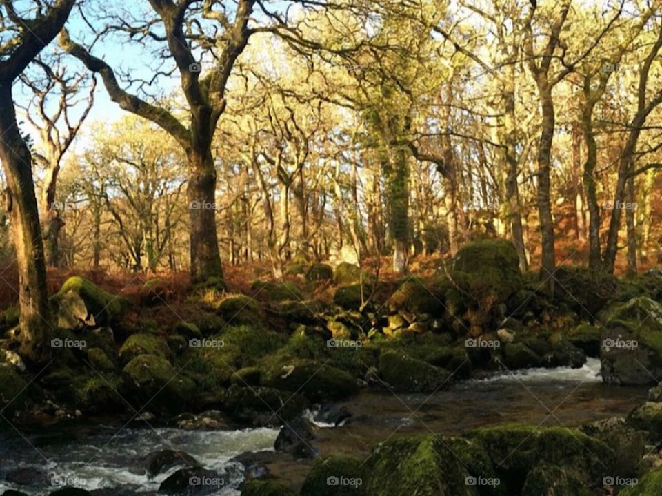A walk through Dartmoor 