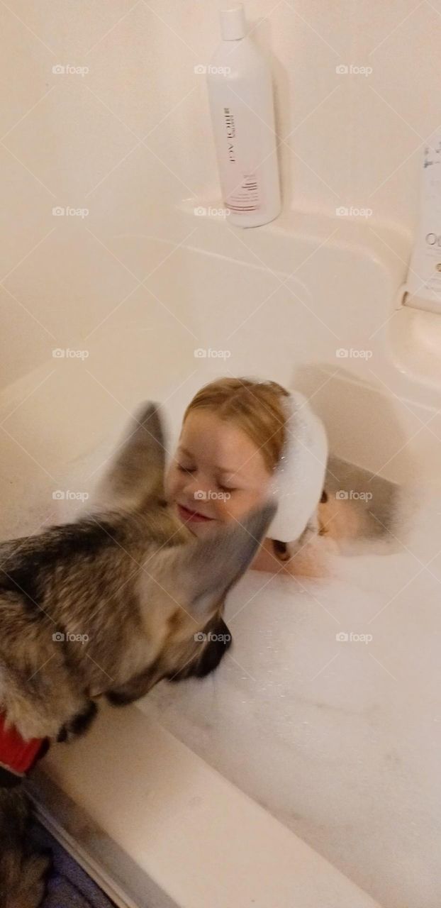 Lylli and Nytro both enjoying the bubble bath 