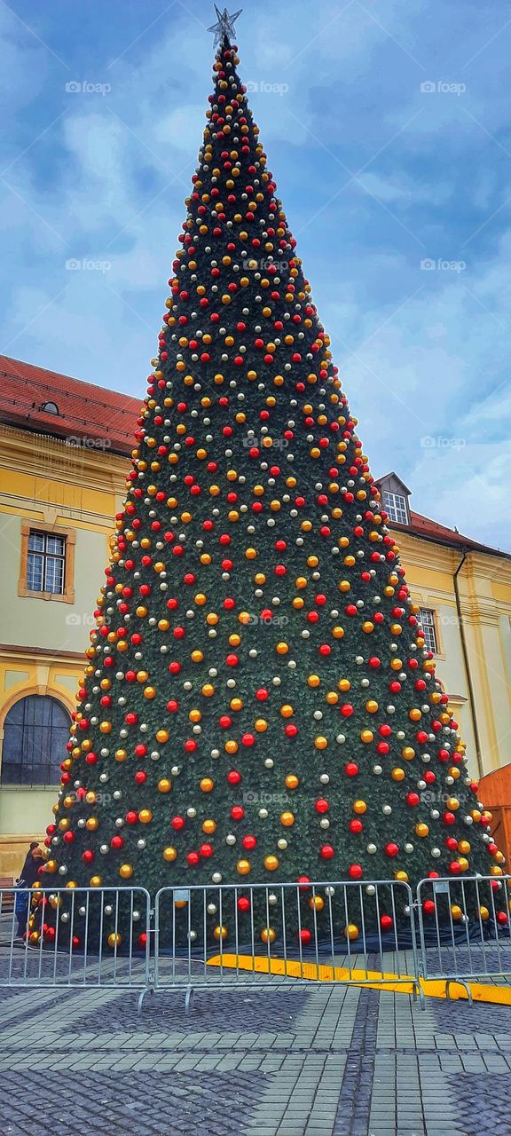 Sibiu