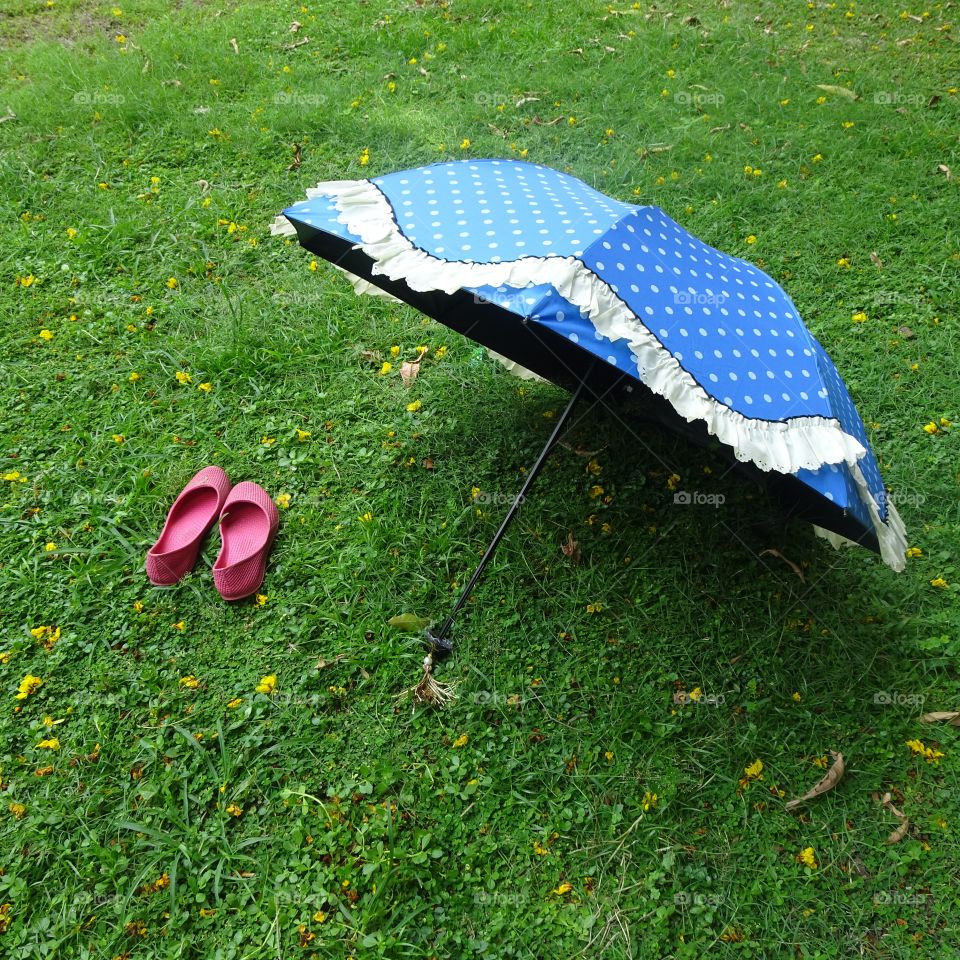 a summer day in the garden....