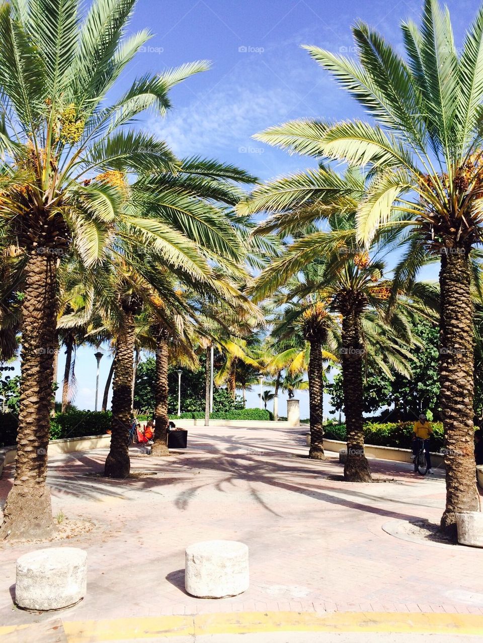 Welcome to South Beach