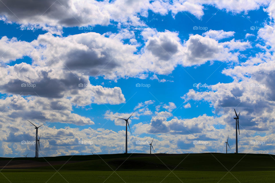 windmills