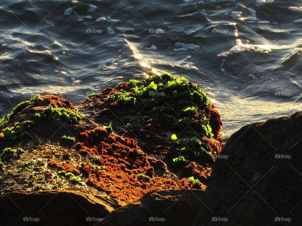 No Person, Water, Sunset, Outdoors, Ocean