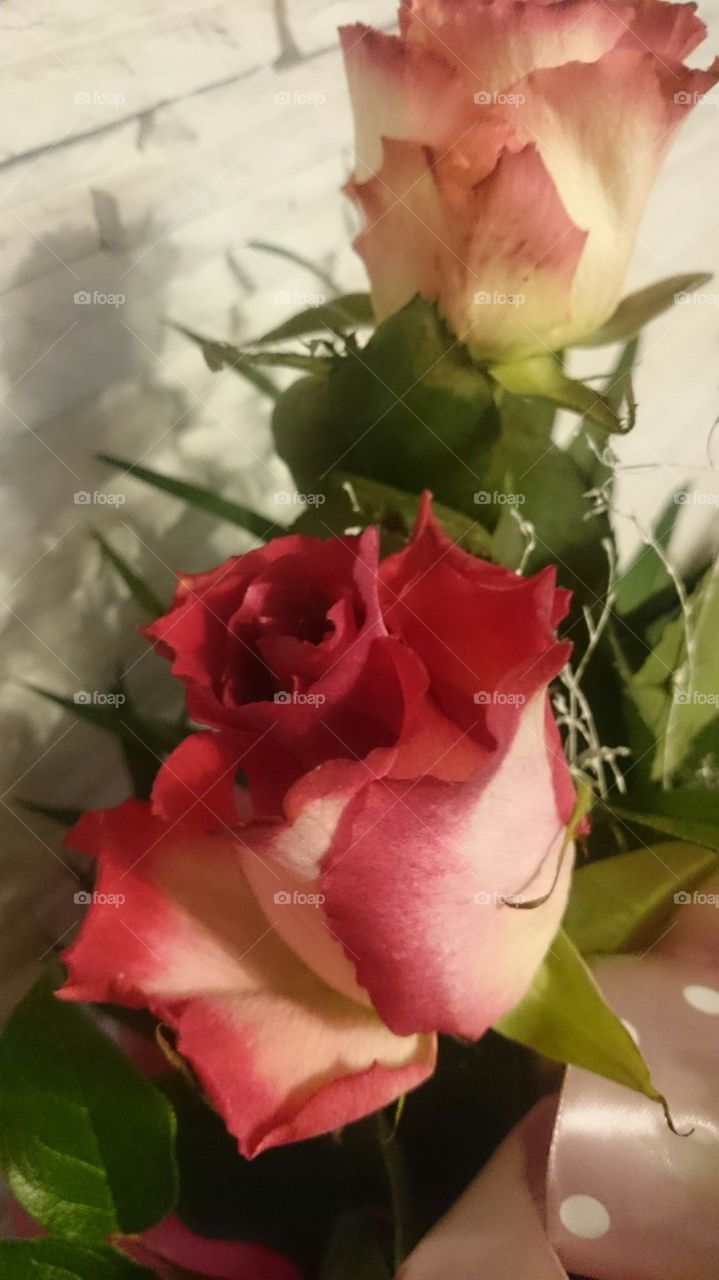 Rose bouquet 🌹