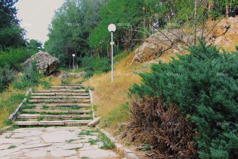 Path in mountains