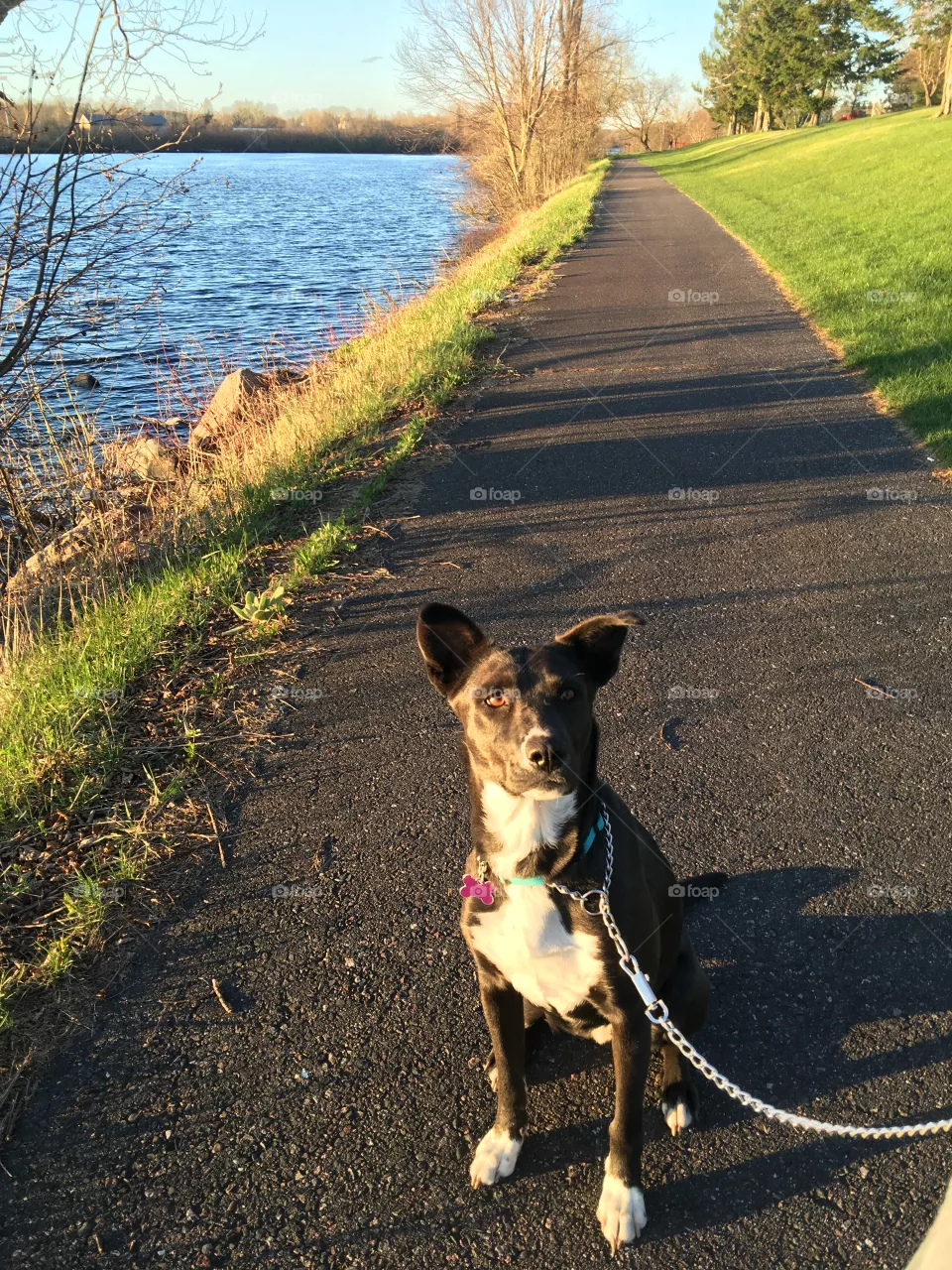 Walk