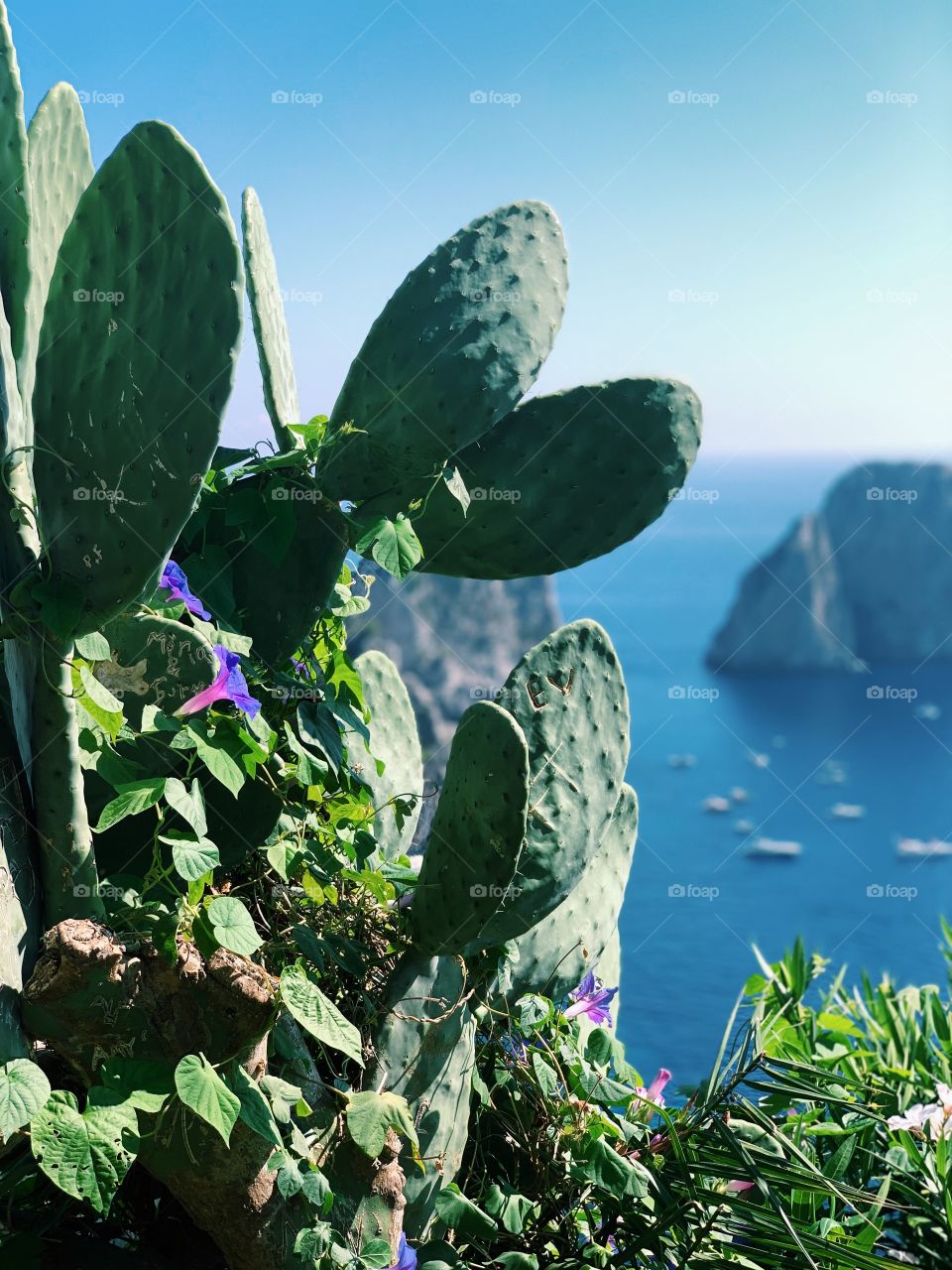 Capri, Italy 