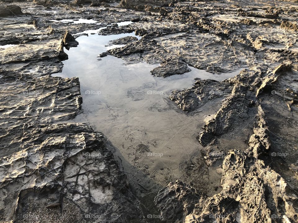 Puddles on the beach