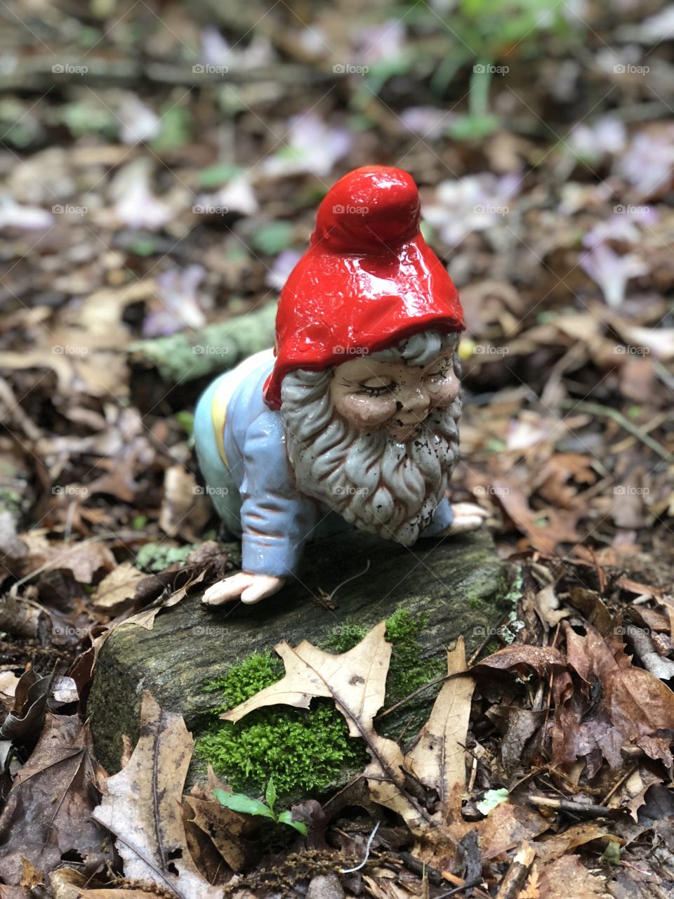 Kneeling garden gnome on mossy log in leaves
