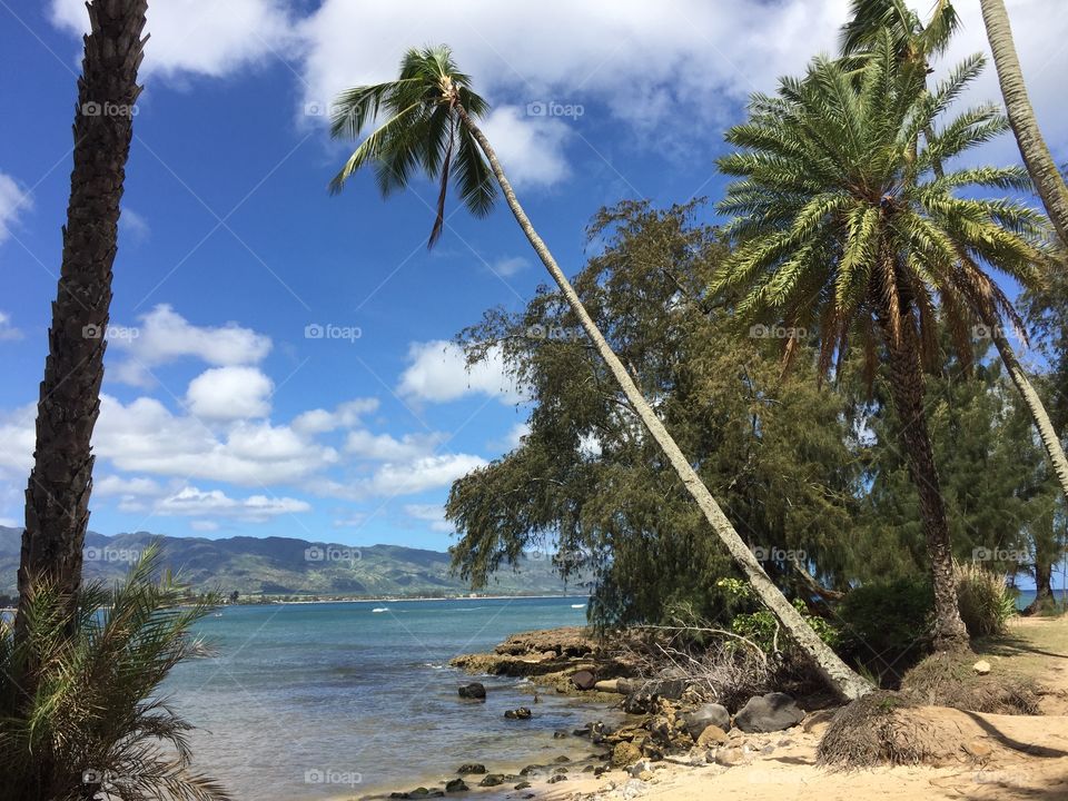 Pua'ena Point, Hawaii