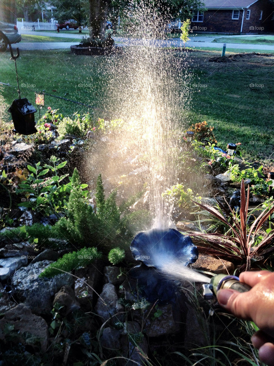 plants water wet hose by vickikl3