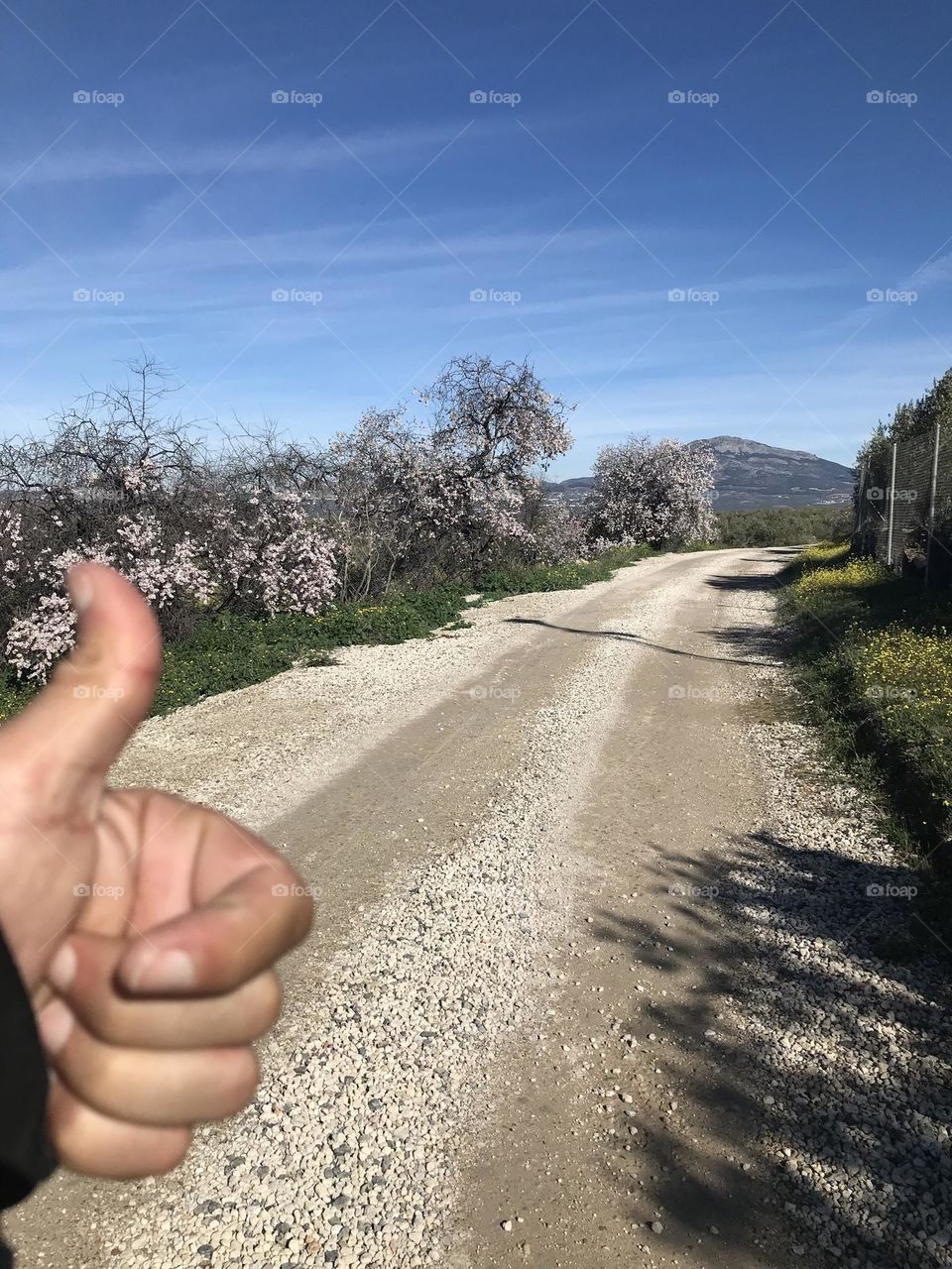 Camino a delante 