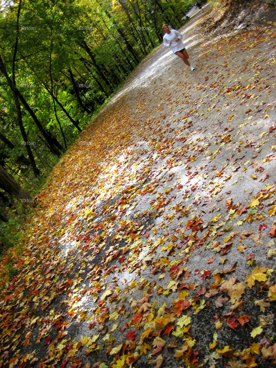 Royal Mount in autumn