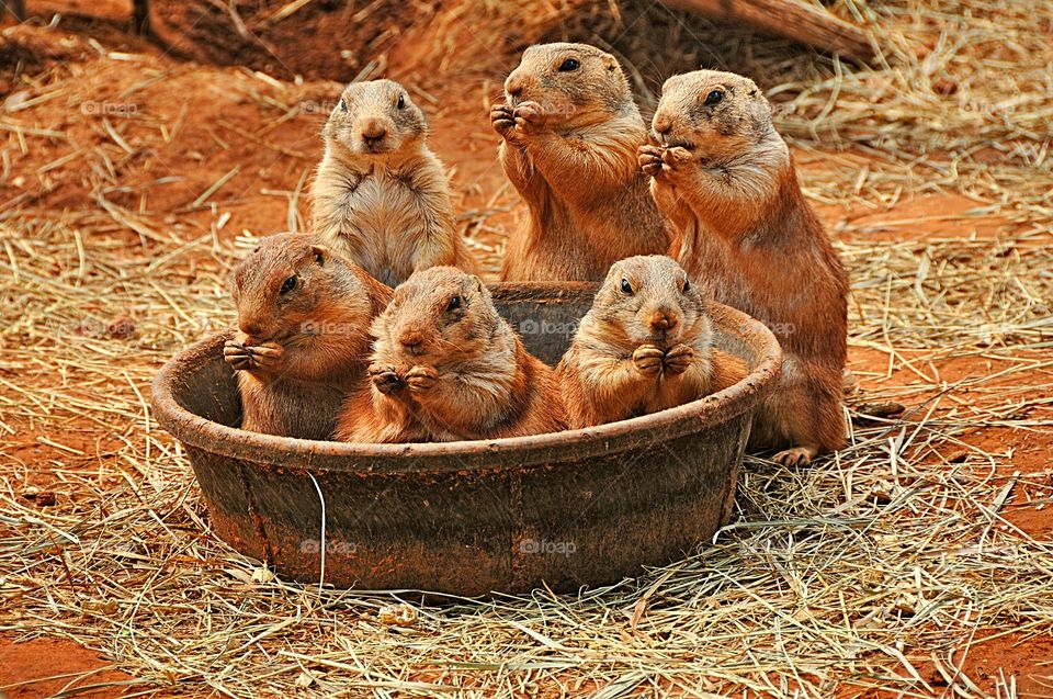 Let us pray... well there’s always one bad boy isn’t there? 