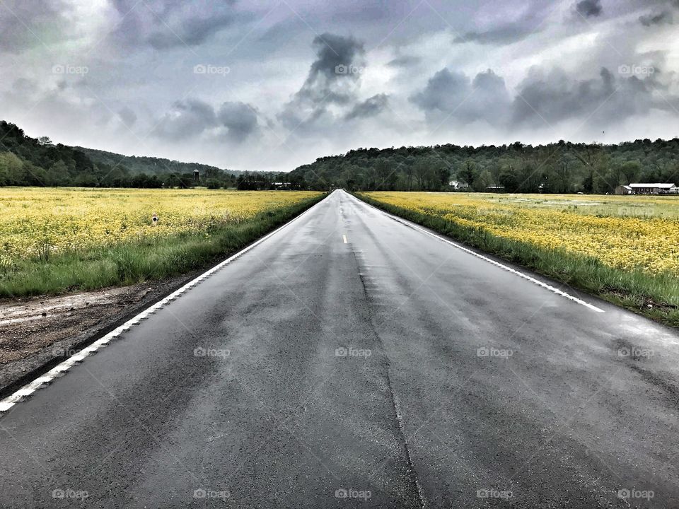 The long road ahead